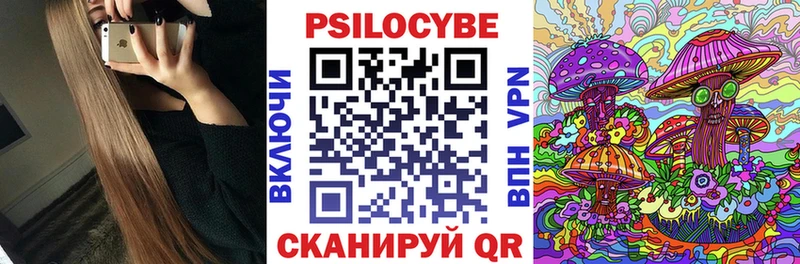 Галлюциногенные грибы Psilocybe  Георгиевск 