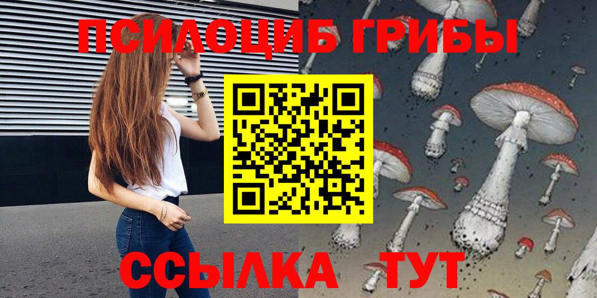 купить наркотик  Вход с VPN  Георгиевск  Галлюциногенные грибы Psilocybine cubensis 