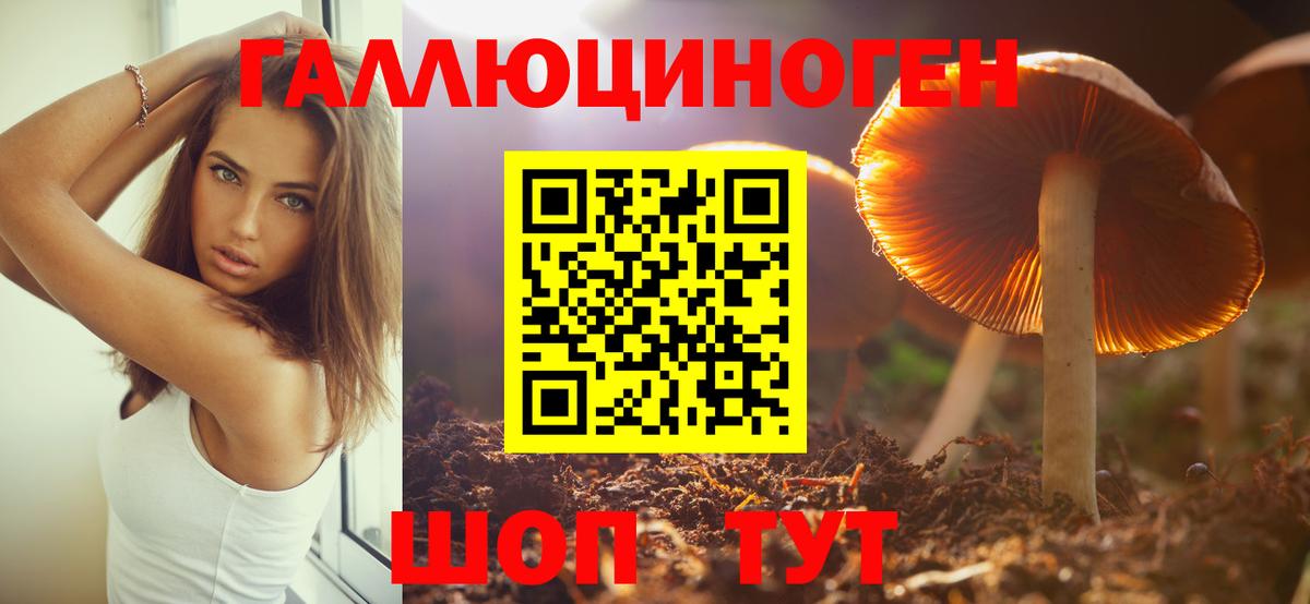 Псилоцибиновые грибы Psilocybine cubensis Георгиевск